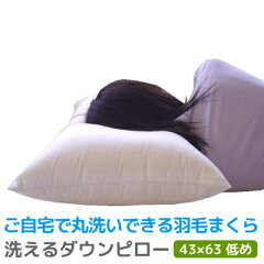 https://thumbnail.image.rakuten.co.jp/@0_mall/suyasuya/cabinet/nai/pillow/washpi/210108pi05.jpg