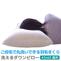 https://thumbnail.image.rakuten.co.jp/@0_mall/suyasuya/cabinet/nai/pillow/washpi/210108pi06.jpg