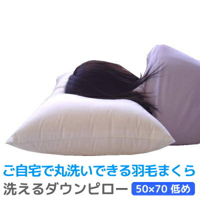 【300円OFFクーポン】 洗える ダウンピロー 羽毛 枕 390g入り50×70cm(低め) 新生活 ウォッシャブル 昼寝 楽天)