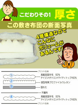 敷き布団 シングルサイズ 日本製 送料無料 防ダニ 抗菌 四層 マチ付 ボリューム 軽量 敷き布団 シングルロング 100x210cm あす楽対応 敷布団 羊毛 ふとん 羊毛 シングル用 ギフト ダニ対策 敷き布団 敷布団 一人暮らし