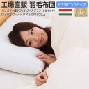 羽毛布団 セミダブル 工場直販 日本製 ロイヤルゴールドラベル付き ハンガリー産グース 170×210cm 立体キルト 無地 羽毛布団 セミダブル用 送料無料 リフォーム割引券4,000円分付