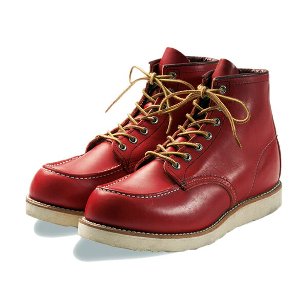 rw8875-01.jpg rw8875-01.jpg