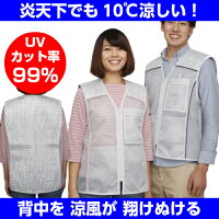 涼かちゃんベストlight