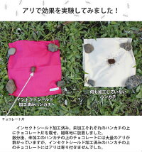 蟻に対する効果実験