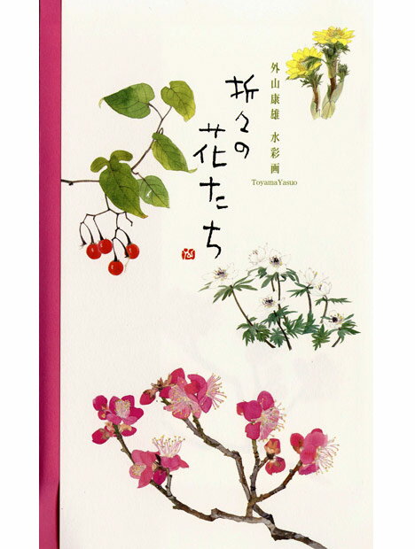 和紙　お好み葉書・はがき　季節の花　冬春の花　外山康雄画伯　水彩画　折々の花たち　8種各1枚入り　〈ハガキ　お手紙に　わし　Washi　通販〉 1