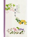 和紙 お好み葉書・はがき 季節の花 春夏秋の花 外山康雄画伯 水彩画 おりおりの花たち 8種各1枚入り 〈ハガキ お手紙に わし Washi 通販〉