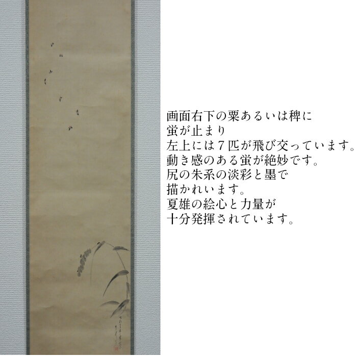 加納夏雄「蛍」表装　95.3×32.0cm　絹本　水墨淡彩　表装寸法166.0×34.0cm　【中古】