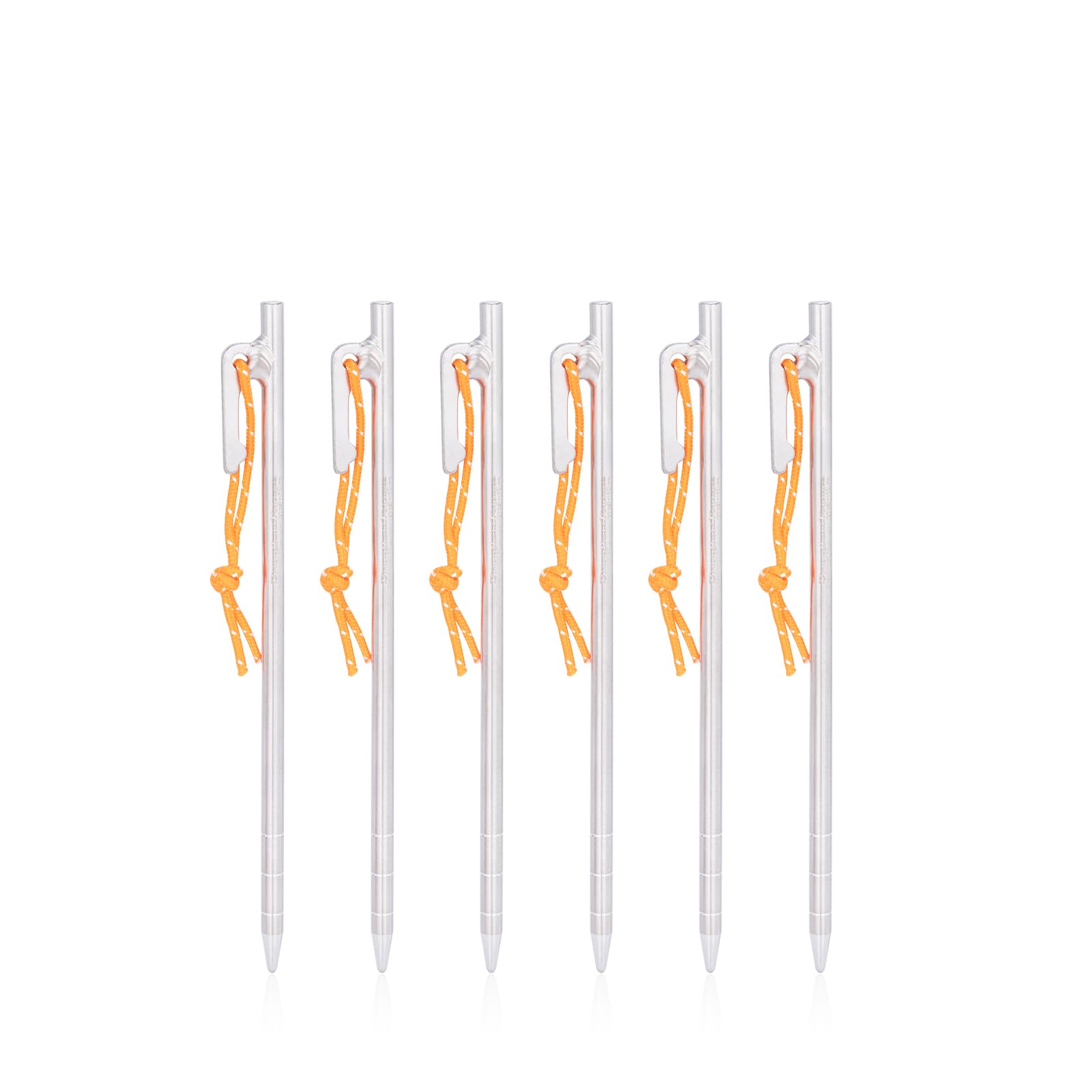 ʥݥ5ܡ Boundless Voyage ڥ ¤   ȿͥդ 20cm/24cm/30cm/35cm/40cm 4/6...