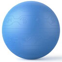 【即日発送】PROIRON バランスボール 65cm ばらんすぼーる トレーニングガイドパターン付き 厚い ジムボール バランスボール 椅子 スポーツ 耐荷重3...