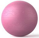 【即日発送】PROIRON バランスボール 65cm ばらんすぼーる トレーニングガイドパターン付き 厚い ジムボール バランスボール 椅子 スポーツ 耐荷重3...