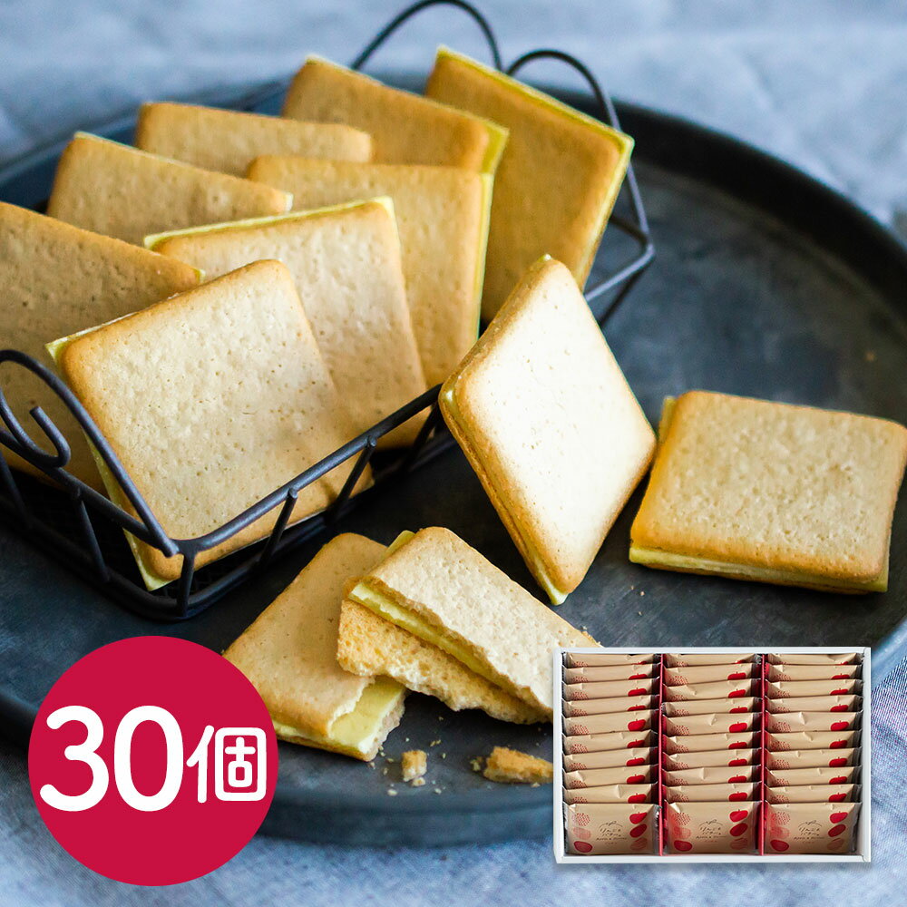 ʥݥ5ܡ  ֤󤴤ȥХ 祳졼ȥɥå30 / βۻ ե ̵ ڥ֥åե饤ǡ