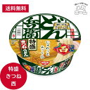 どん兵衛 特盛きつねうどん (西) 日清食品 カップ麺 130g