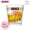 カップヌードル カレー ビッグ 日清食品 カップ麺 120g