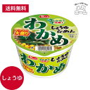 大黒 マイフレンド ビックわかめしょうゆらーめん 100g
