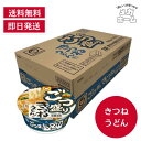 マルちゃん ごつ盛り きつねうどん 108g