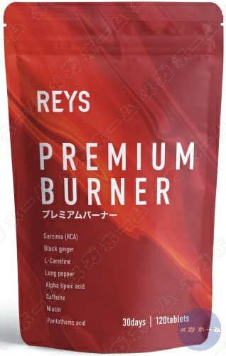 REYS レイズ 【PREMIUM BURNER】 プレミアムバーナー 120粒 ガルニシア（HCA） ブラックジンジャー カルニチン ヒハツ αリポ酸 ナイアシン