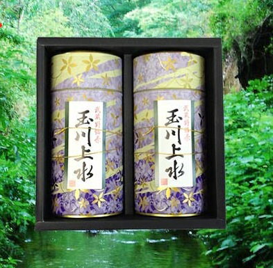 狭山茶 狭山茶 お茶 茶 玉川上水 ギフト（紫缶100g×2）（200g）暑中見舞い 帰省土産 残暑見舞い 内祝い 東京都 小平市【狭山茶問屋 鈴木園】【お茶】【緑茶】【お彼岸】