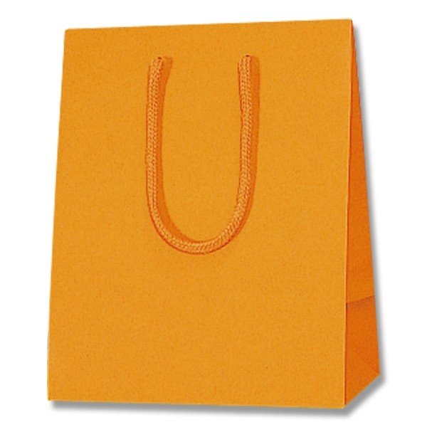 【単品購入不可／オプション】紙袋 オレンジ：ロールショコラ用