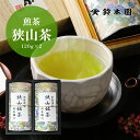 狭山茶 お茶 ギフト お歳暮 御歳暮 【狭山茶 120g×2 DS30】お茶ギフト 贈り物に 明治37年創業！狭山茶問屋 鈴木園／日本茶 ギフト 緑茶 煎茶 深蒸し茶 敬老の日 お中元 御中元 残暑お見舞い 内祝 御礼 狭山茶ギフト SAYAMA お歳暮 ドリンク ギフト 内祝い お返し 3000円