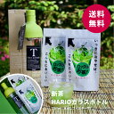 狭山茶 お中元 お茶 ギフト 【 HARIO フィルターインボトル ＆ 水出し緑茶50g×2 】「がっちりマンデー」でも話題のハリオ ギフトセット 狭山茶 日本茶 緑茶 冷茶 greentea【明治37年創業 鈴木園】 御歳暮 御中元 暑中御見舞 残暑御見舞 FS-46