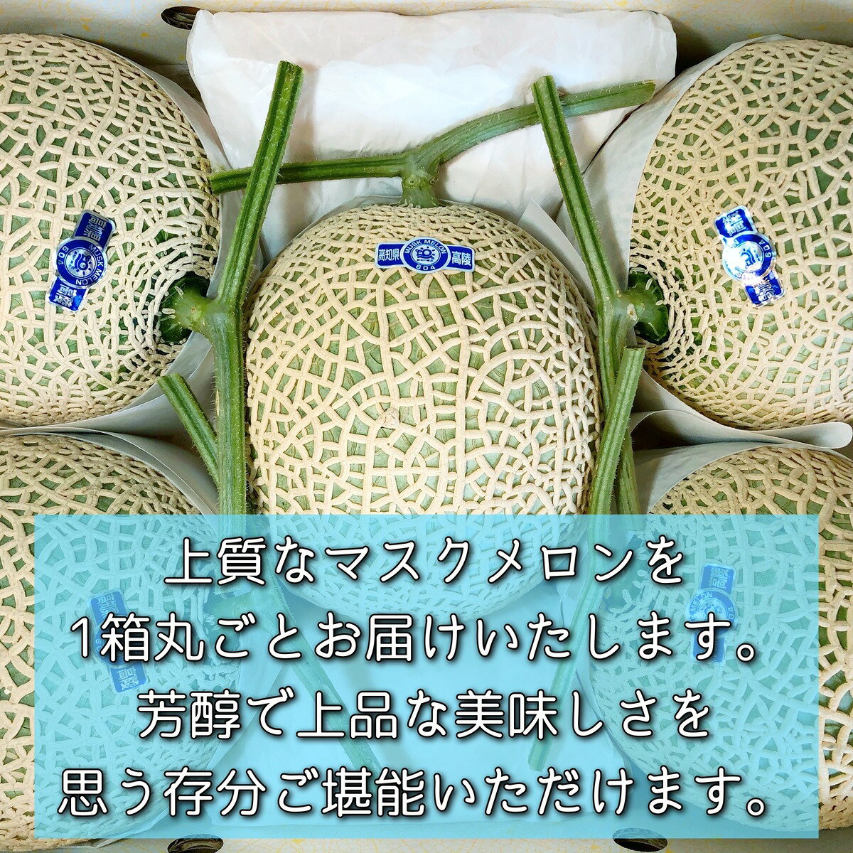 ＊マスクメロン 1箱 5〜6個入＊マスクメロン アールスメロン メロン フルーツ くだ...