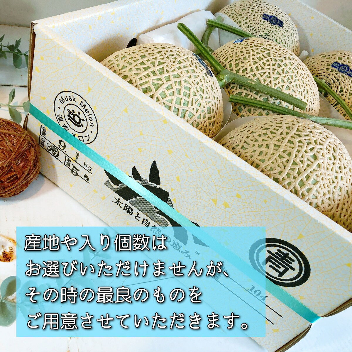＊マスクメロン 1箱 5〜6個入＊マスクメロン アールスメロン メロン フルーツ くだ...
