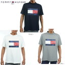 yTOMMY HILFIGER /g~[qtBK[zTHMA312Y@Jt[WtbO bNlbNVc