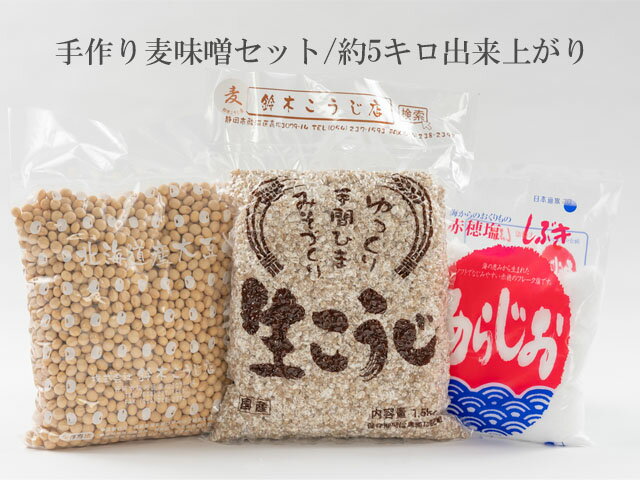 手作り味噌セット麹糀こうじ手作り味噌キット手作り味噌キット
