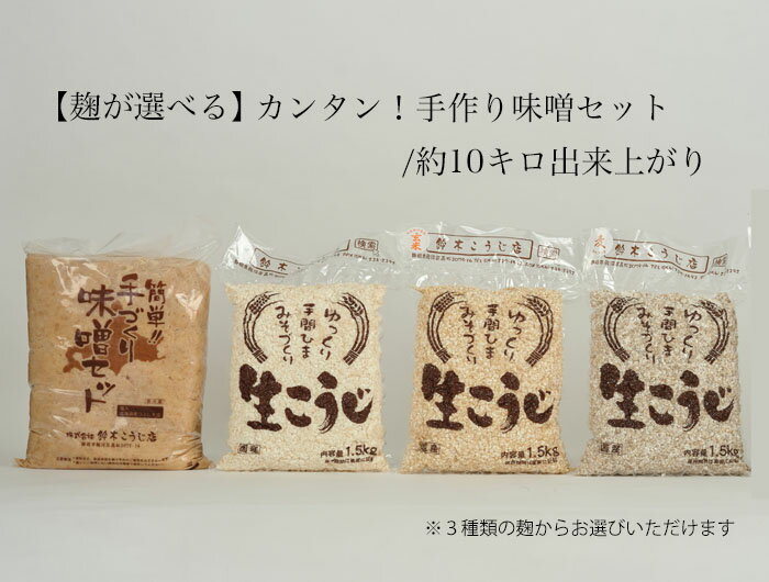 万能みそだれ マイルドつけてみそかけてみそ 焙煎ごま使用 ナカモ(愛知県)400g×7本