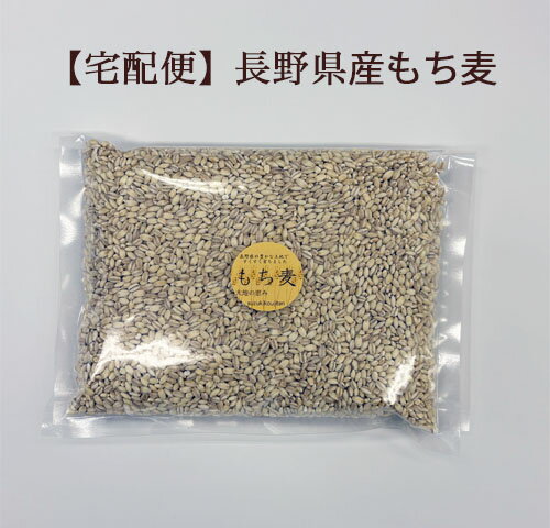 【宅配便】長野産の美味しいもち麦!国産、水溶性食物繊維【他の商品と一緒にご注文の場合はこちら】