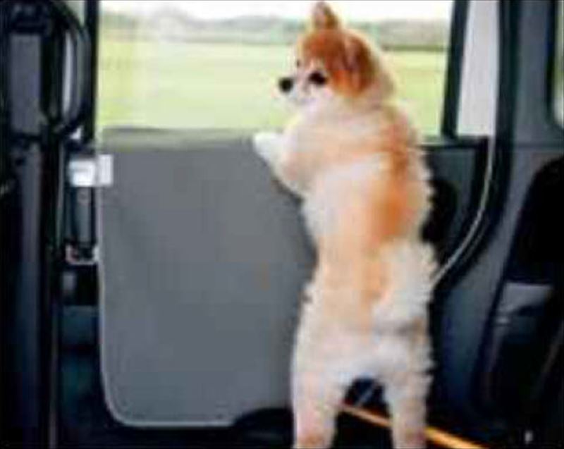 『CIVIC ハッチバック』 純正 FK7 ペットドアライニングカバー ※リアドア用左右2枚セット パーツ ホンダ純正部品 オプション アクセサリー 用品