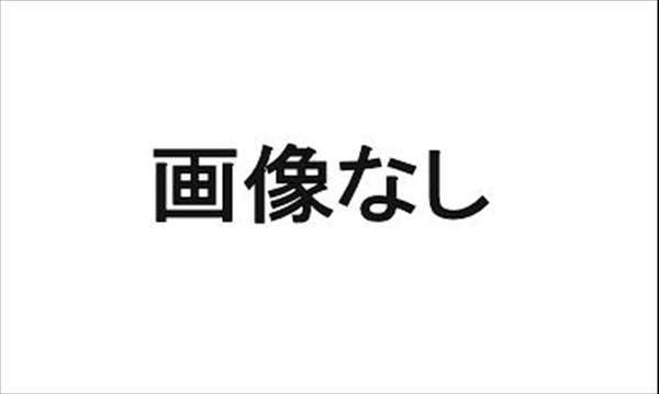 『ミライース』 純正 LA300S キーレスエントリー用メインキー(追加用） パーツ ダイハツ純正部品 mirae:s オプション アクセサリー 用品