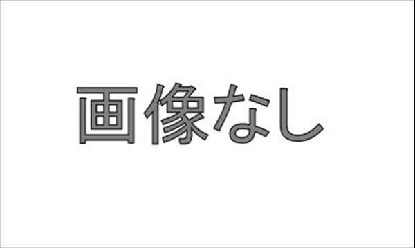 『ブーン』 純正 M600S アルミホイール用 ナット パーツ ダイハツ純正部品 boon オプション アクセサリー 用品