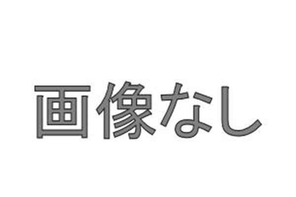 『クオン』 純正 GK5AAB 撥水レンズミラー メッキタイプ 右 電動リモコン+ヒーター パーツ 日産ディーゼル純正部品 オプション アクセサリー 用品