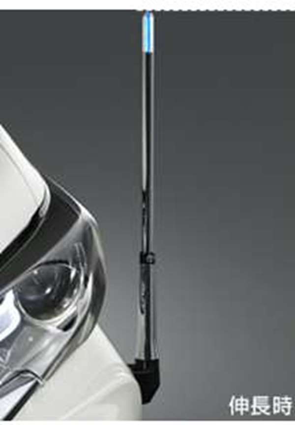 『アリオン』 純正 CEXGP CEXEP CEXEK フェンダーランプ（デザインタイプ） パーツ トヨタ純正部品 ポール フェンダーライト allion オプション アクセサリー 用品