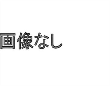 A5・S5 パーツ ロックボルトキャップ アウディ純正部品 8TCDNF 8TCGWL オプション アクセサリー 用品 純正 メール便可能