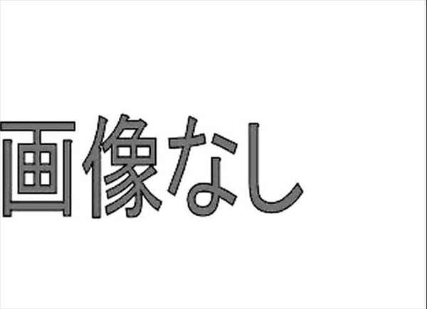 A6・S6 パーツ ロックボルトキャップ