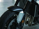 『CB1000R』 純正 SC80 アルミフロントフェンダーパネル パーツ HONDA_2輪純正部品 オプション アクセサリー 用品