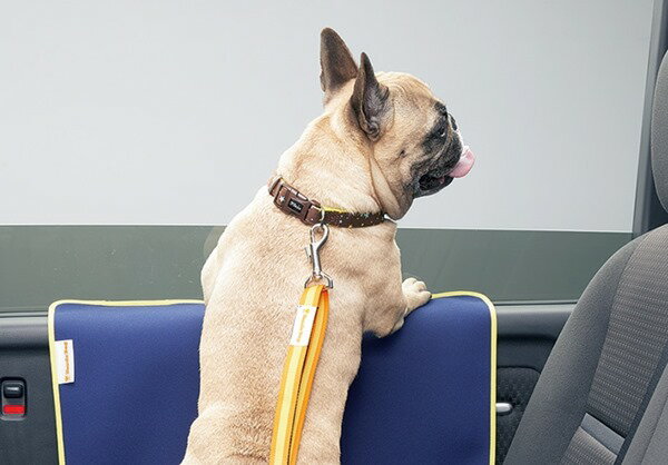 『NWGN』 純正 JH3 JH4 ペットドアライニングカバー パーツ ホンダ純正部品 オプション アクセサリー ..