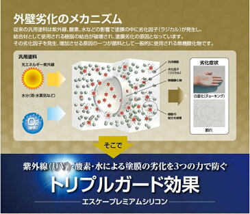 【送料無料】エスケープレミアムシリコン(濃彩色:艶有):4kg 超耐候形水性ハイブリッドシリコン<エスケー化研>