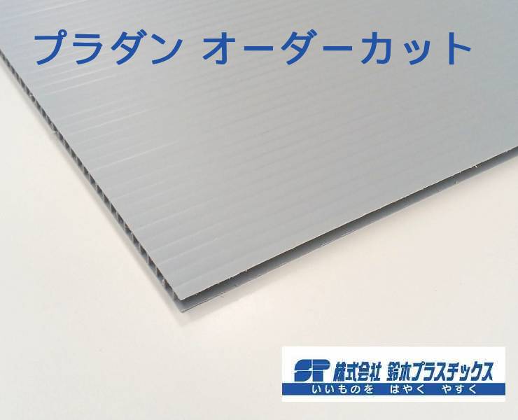 Rakuten - オーダーカットプラダン 板 1mm単位