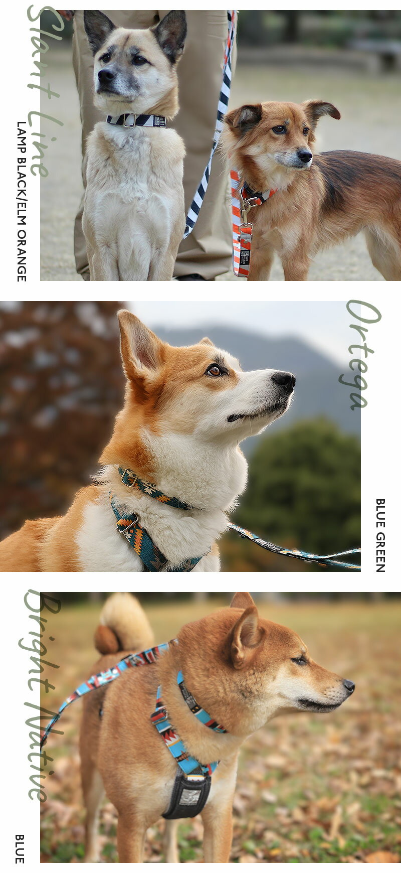 犬 首輪 小型犬 中型犬 大型犬 ダブルリング 二重ブロック構造 抜けにくい 安全 バックル首輪 おしゃれ かわいい 名入れ対応 迷子札別売 ネイティブ オルテガ柄 すず工房 SUZUKOUBOUダブルリングバックル首輪 FABRICシリーズ ナチュラル 2