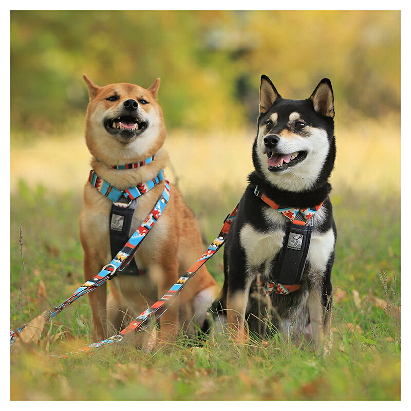 犬 ハーネス 抜けない 抜けにくい 迷子防止 逸走防止 小型犬 中型犬 大型犬 胴輪 胸パッド付き おしゃれ かわいい 北欧 ネイティブ 名入れ対応 迷子札別売 すず工房 SUZUKOUBOUスタンダードハーネス FABRICシリーズ ナチュラル 2