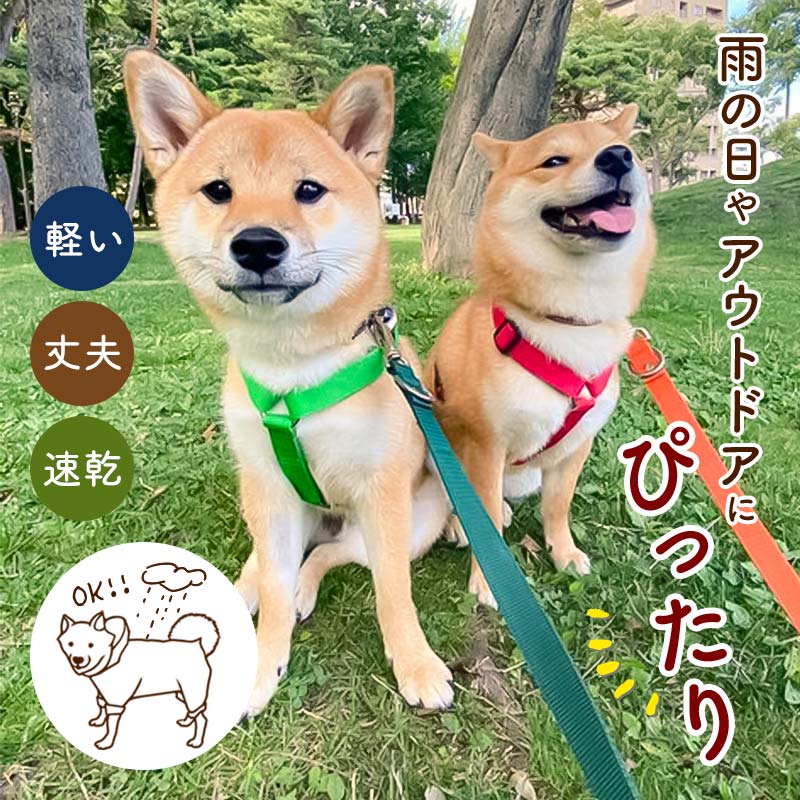 【日本製】犬 ハーネス 胴輪 小型犬 中型犬 大型犬 抜けない 抜けにくい 負担が少ない 迷子防止 速乾素材で雨の日も安心 アウトドア 日本製 おしゃれ かわいい 名入れ可 カラフル・ベーシック ベーシックハーネス スタンダードタイプ