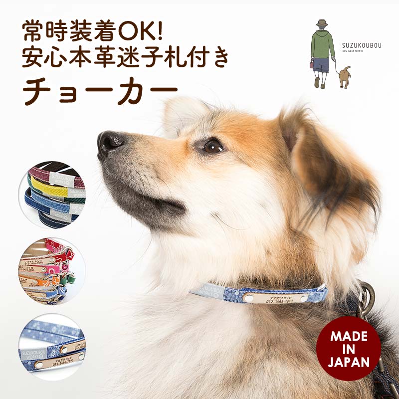 犬用迷子札おすすめ5選 犬のしつけのプロに聞く アクリルやチョーカータイプなど マイナビおすすめナビ