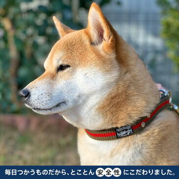 【日本製】犬 首輪 小型犬 中型犬 大型犬 日本製 ダブルリング おしゃれ かわいい 名入れ可 迷子札 星柄 デニム バックル首輪【カジュアル】