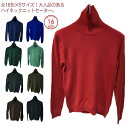 全16色×5サイズのカラバリ!ニットセーター メンズ メンズセーター ハイネック タートルネック タートルニット 無地 ニット セーター プルオーバー トップス 秋 冬