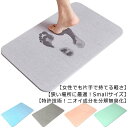 誕生日 送料無料 ギフト バスマット コンパクト 一人暮らし お風呂マット 洗面所マット 足マット 足ふき おしゃれ 速乾 お祝い 60×39cm プレゼント ...