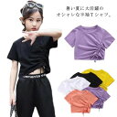 Tシャツ カットソー 夏 tシャツ 女の子 半袖Tシャツ トップス 半袖 Tシャツ 子ども服 入学 プルオーバー ティーシャツ アウトドア 旅行 通学 親子服 おしゃれ 110cm 120cm 130cm キッズ