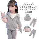 ジャージ 上下 子供服 スウェット2点セット フード付き 女の子 トレーニングウェア 長袖 長ズボン Tシャツ スポーツウェア キッズ 子供服運動着 春秋 送料無料 セットアップ 上下セット 長袖トレーナー 送料無料